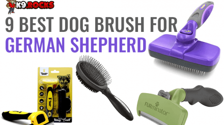 9 Best Dog Brush for German Shepherd