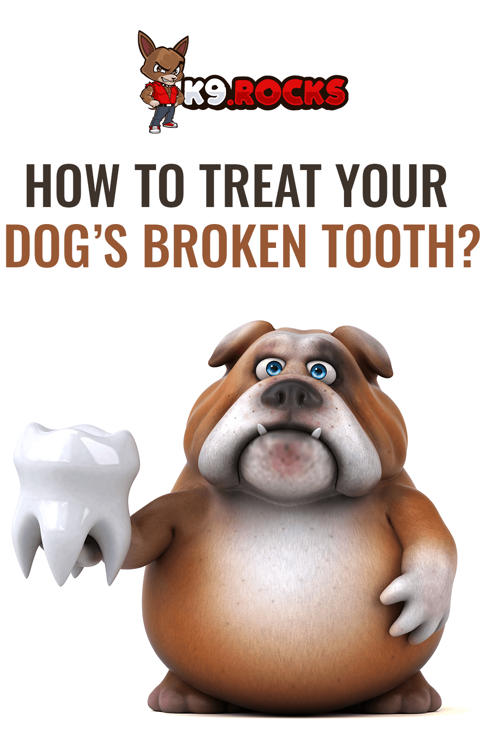 how-to-treat-your-dog-s-broken-tooth-k9-rocks