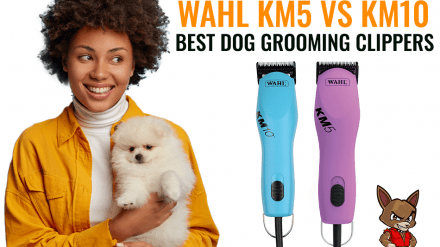 Wahl KM5 vs KM10: Best Dog Grooming Clippers