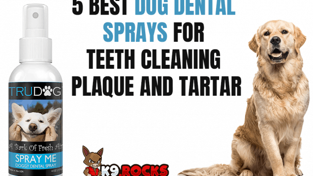 5 Best Dog Dental Sprays For Teeth Cleaning Plaque and Tartar