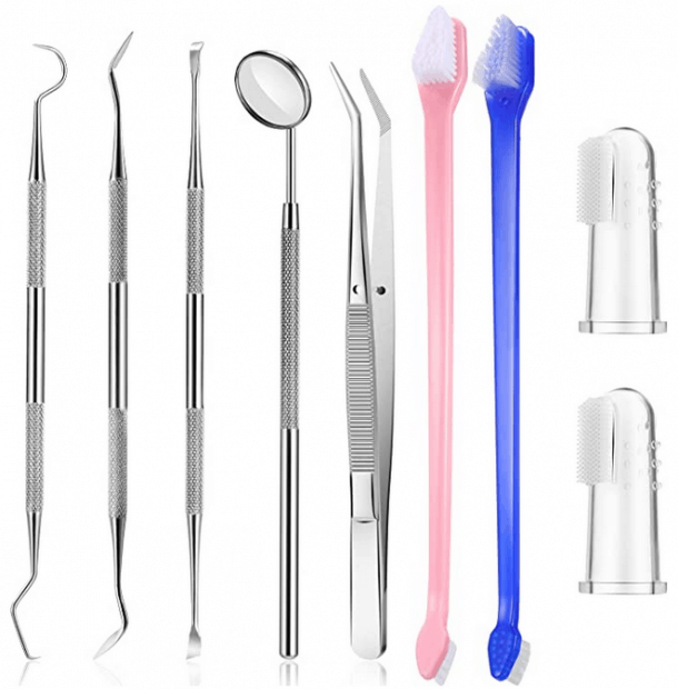 3 Best Dog Tooth Scaler to Clean Tartar and Plaque K9 Rocks