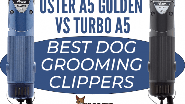 Oster A5 Golden vs Turbo A5: Best Dog Grooming Clippers