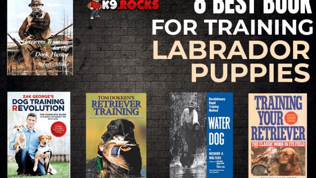 8 Best Book for Training Labrador Puppies