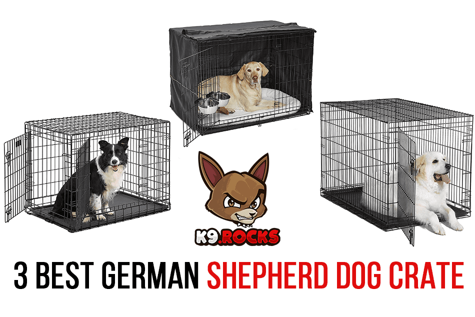 3 Best German Shepherd Dog Crate K9 Rocks