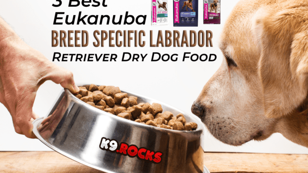 3 Best Eukanuba Breed Specific Labrador Retriever Dry Dog Food