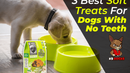 3 Best Soft Treats For Dogs With No Teeth
