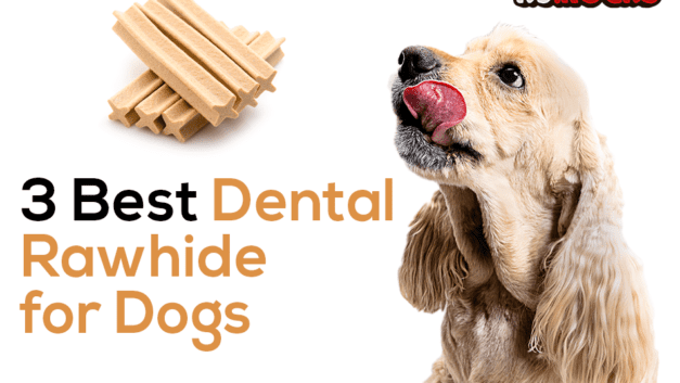 3 Best Dental Rawhide for Dogs