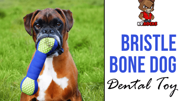 Bristle Bone Dog Dental Toy