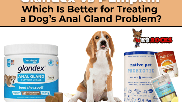 Glandex vs. Pumpkin: Which Is Better for Treating a Dog’s Anal Gland Problem?
