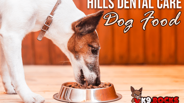 Hills Dental Care Dog Food