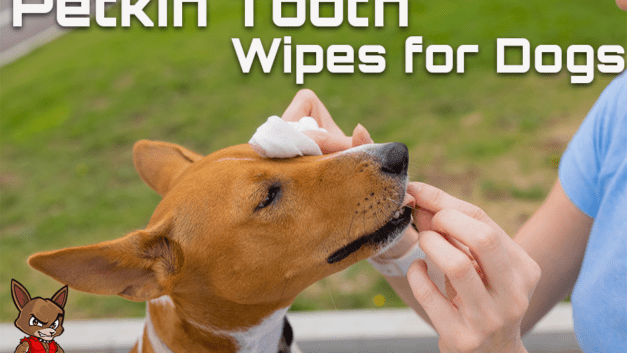 Petkin Tooth Wipes for Dogs