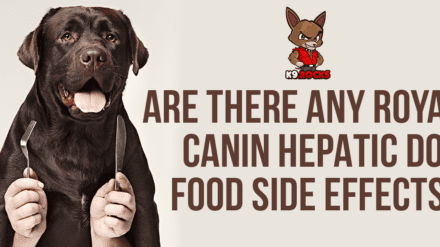 Are There Any Royal Canin Hepatic Dog Food Side Effects?