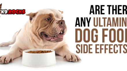 Are There Any Ultamino Dog Food Side Effects?
