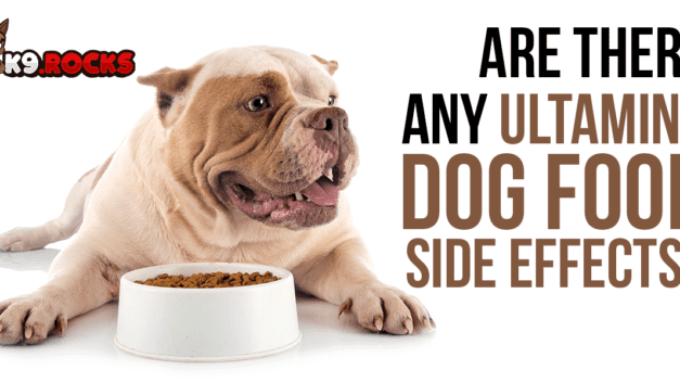 Are There Any Ultamino Dog Food Side Effects?