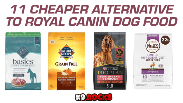 11 Cheaper Alternative to Royal Canin Dog Food