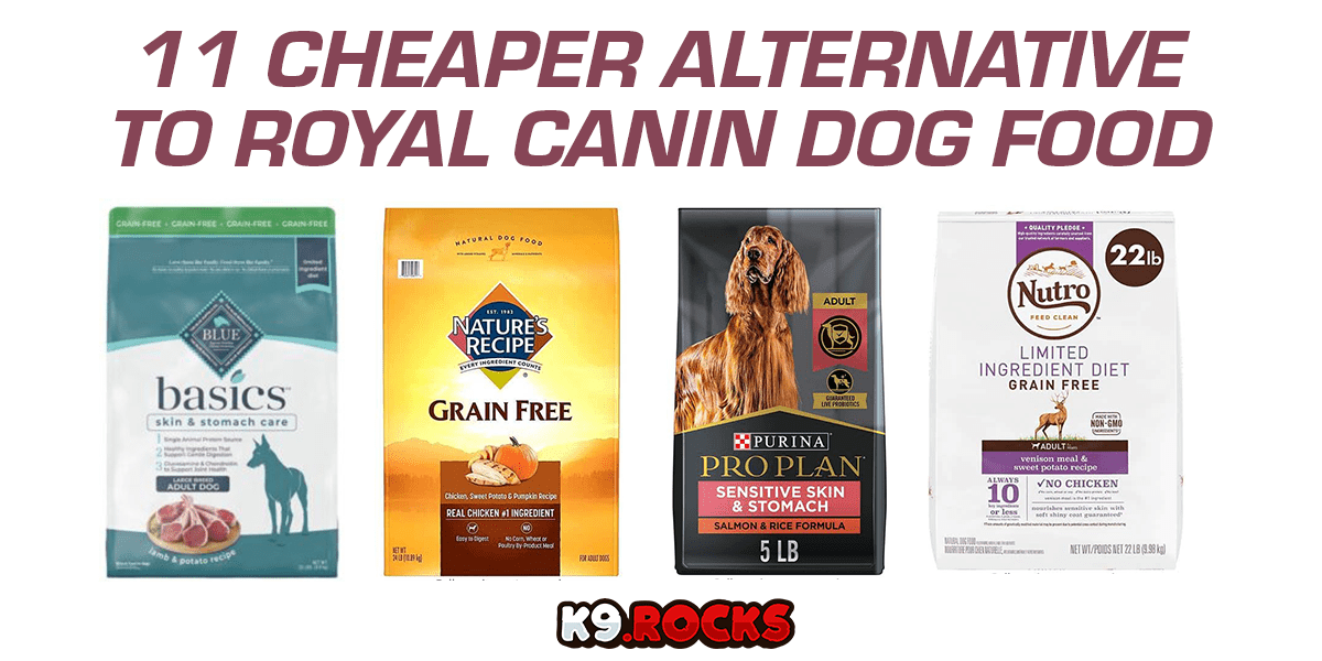 alternative to royal canin gastrointestinal low fat wet dog food