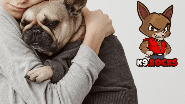 Does Hugging Dogs Give Them Anxiety?