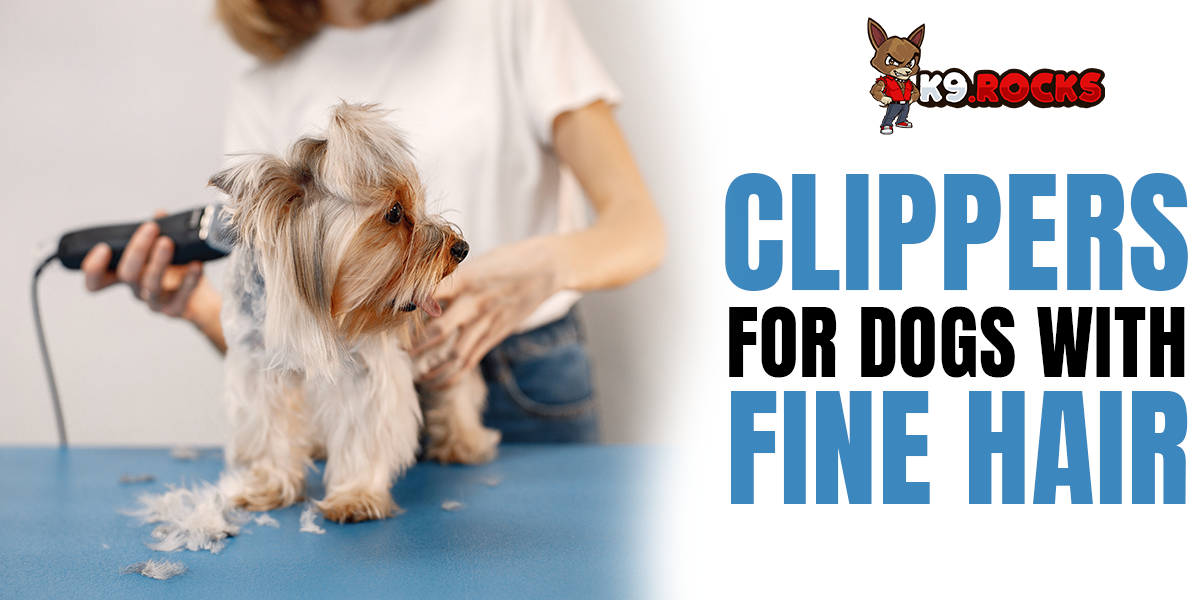 Clippers For Dogs With Fine Hair K9 Rocks