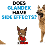 Does Glandex Have Side Effects?