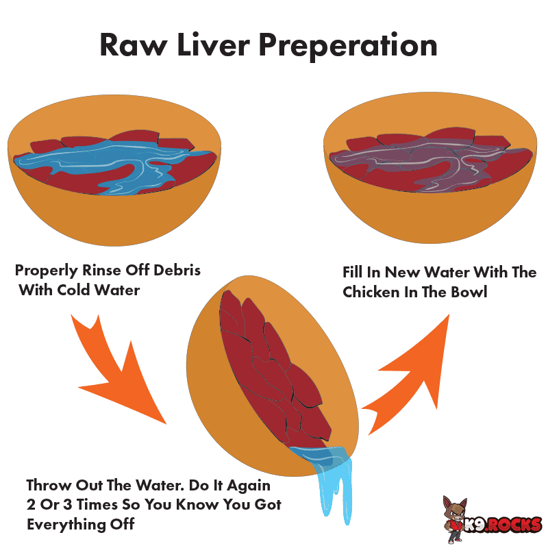 can-dogs-eat-raw-chicken-liver-k9-rocks