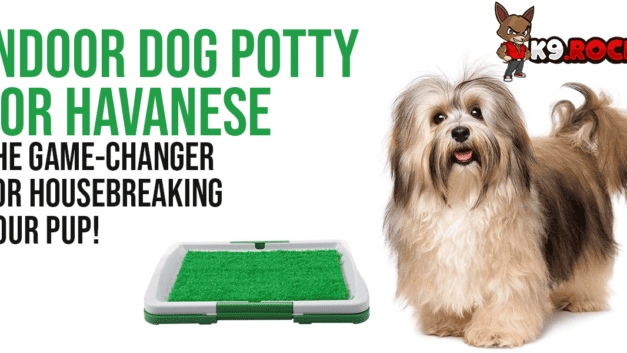 Indoor Dog Potty for Havanese: The Game-Changer for Housebreaking Your Pup!