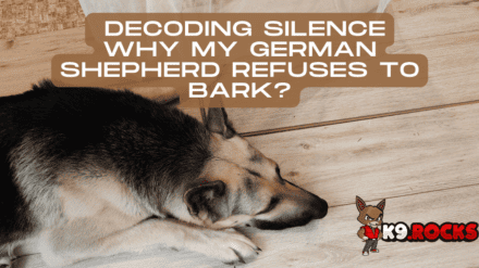Decoding Silence: Why My German Shepherd Refuses to Bark?