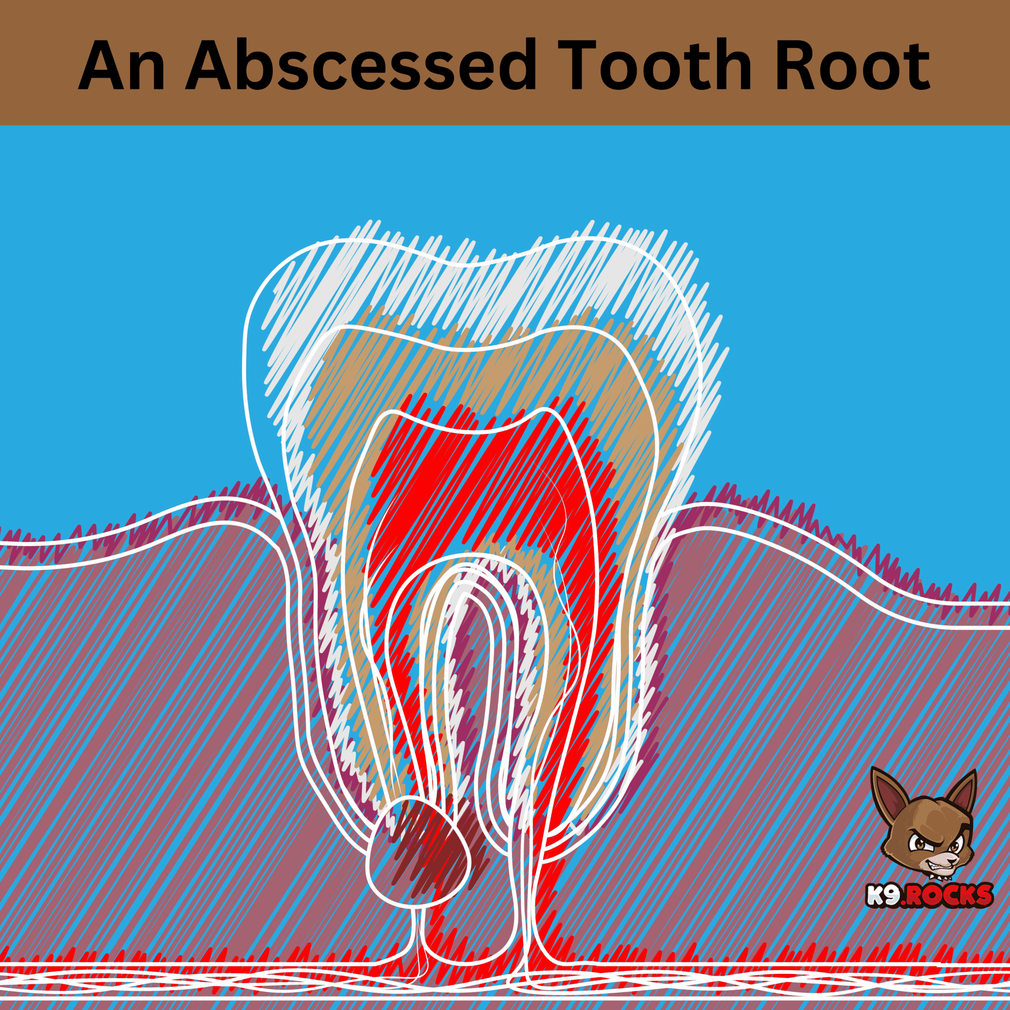 Dog Tooth Abscess: Unveiling Hidden Risks and Treatments - K9 Rocks